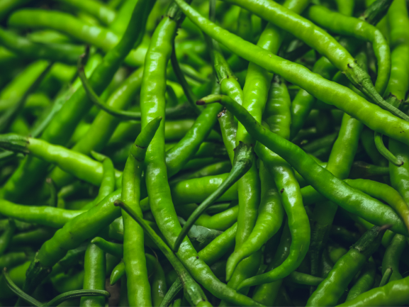 Fresh Green Chilli – Export Grade