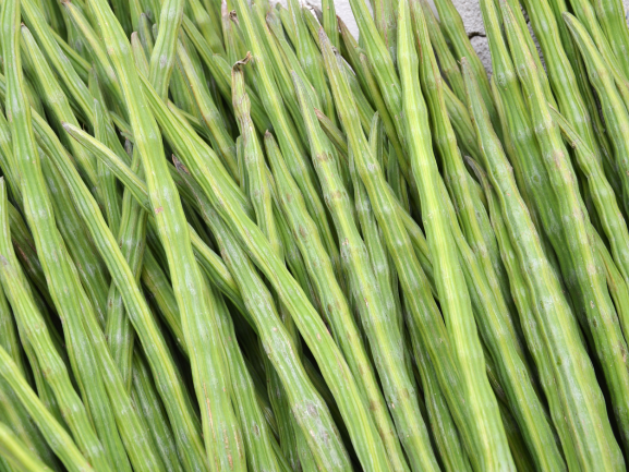 Fresh Grapes – Export Quality