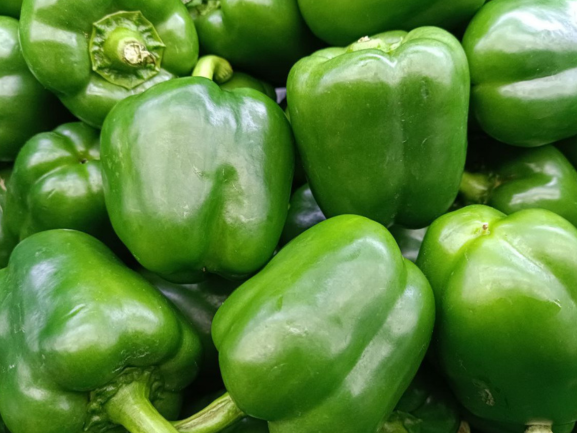 Fresh Green Capsicum – Premium Grade