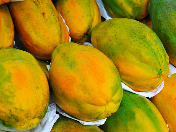 Papaya Export