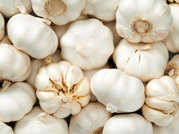 Garlic – Premium Grade