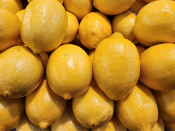 Fresh Lemon – Export Grade