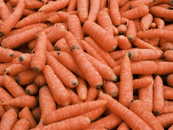Carrot – Fresh Export Quality