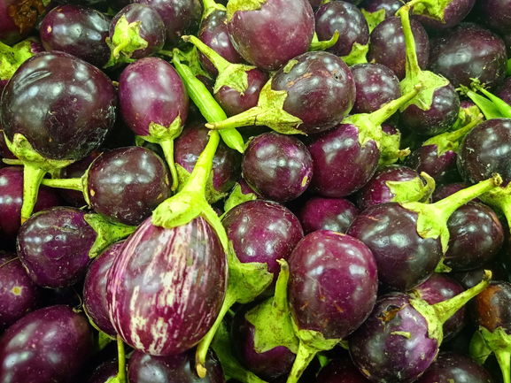 Brinjal – Export Quality