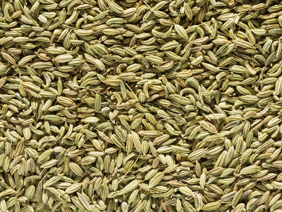 Fennel Seeds – Saunf