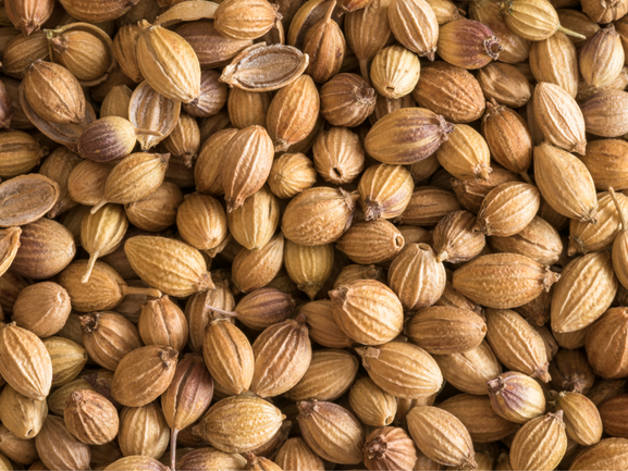 Fresh Grapes – Export Quality