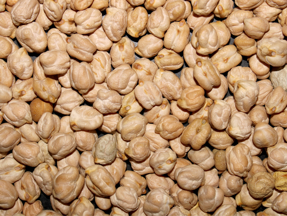Chickpeas – Premium Export Quality