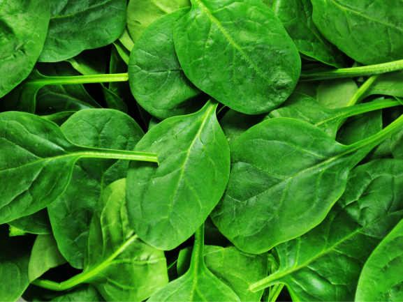 Fresh Okra (Lady Finger) – Export Quality