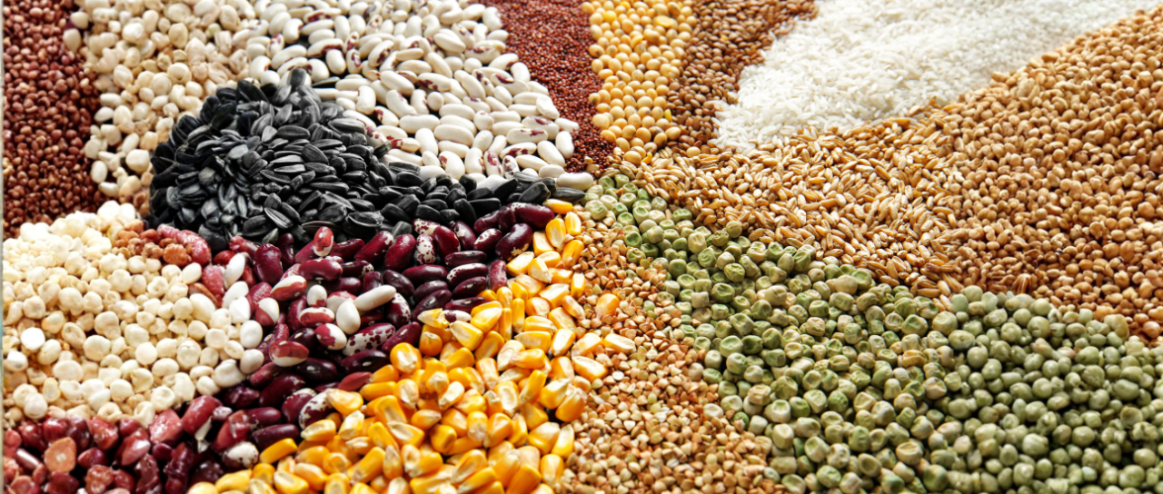 Global Nexus Exporter - Global Markets